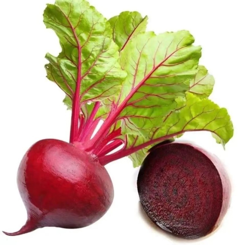 100% Pure Bulk Organic Red Beet Root Powder Hot Sale Drying Red Beet Powder