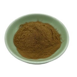 Ginsenoside Rg3 Ginseng Extract Powder Ginsenosides Korean Red Ginseng Extract 80% Ginsenosides