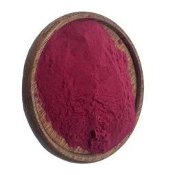 Bilberry/elderberry/mulberry Fruit/blackcurrant/blueberry Extract 25% Anthocyanins Blackcurrant Powder
