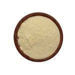 Cosmetics & Probiotics