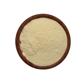 Good Price Lemon Powder Freeze Dried Lemon Juice Dry Lemon Powder