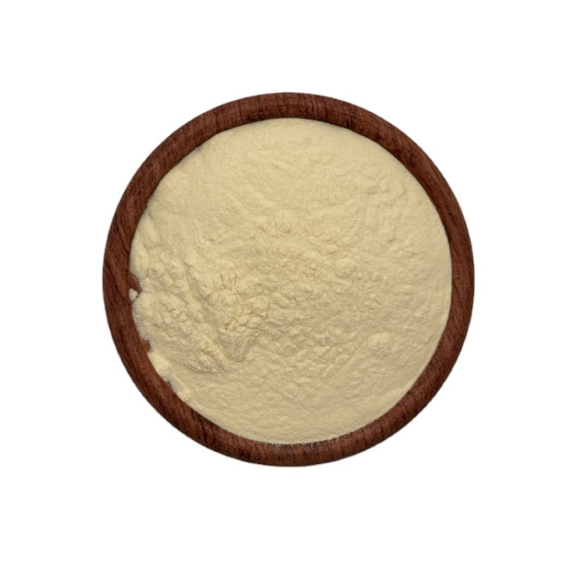 Good Price Lemon Powder Freeze Dried Lemon Juice Dry Lemon Powder