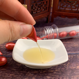 Ginger Oil Capsule Factory - Bulk 12-Capsule Beauty Salon
