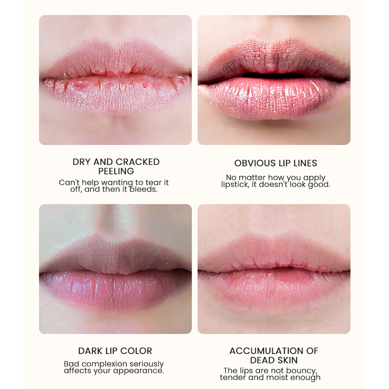 Lip Care Factory - MULAN Factory Wholesale Organic Nourishing