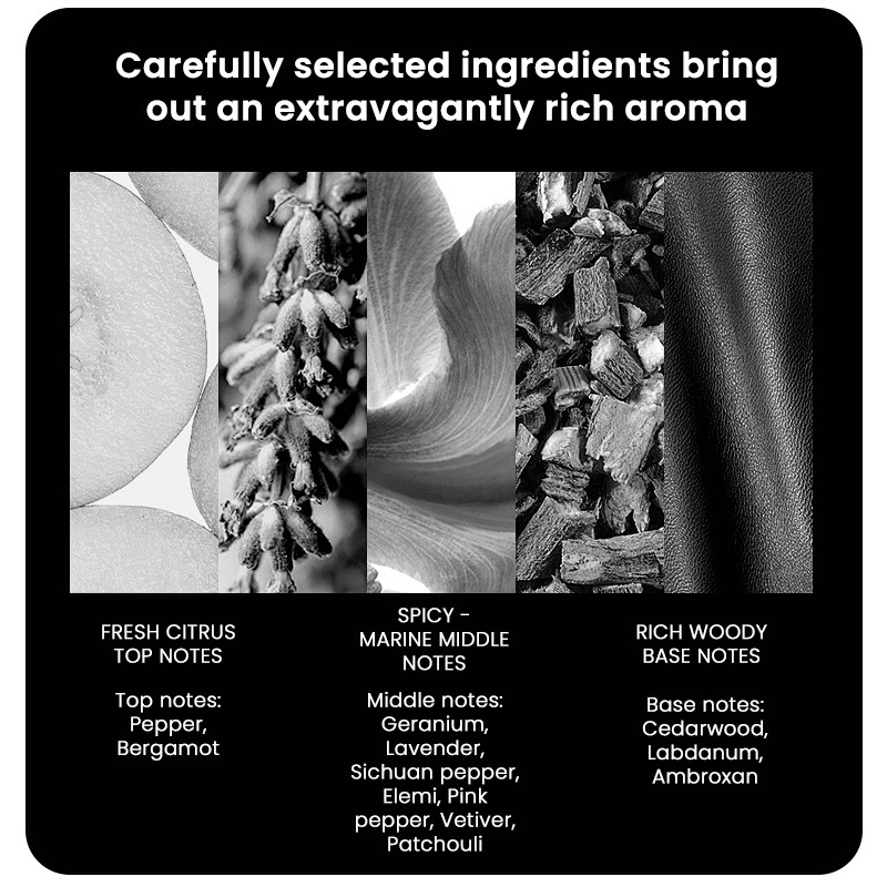 Men Perfume Factory - MULAN New Luxury Woody Marine Long Lasting