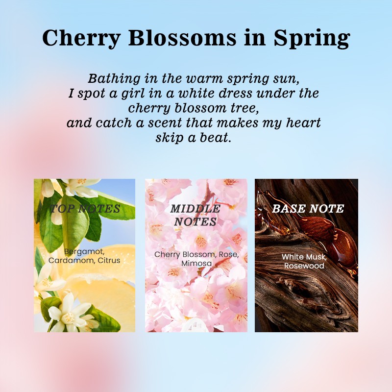 Women Perfume Manufacturer - MULAN Floral Long Lasting Cherry Blossom