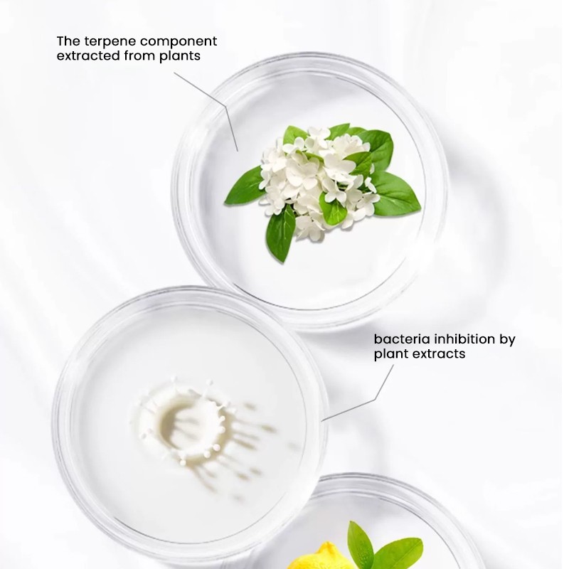 Air Freshener Spray Factory - MULAN OEM Custom Home Perfume Room