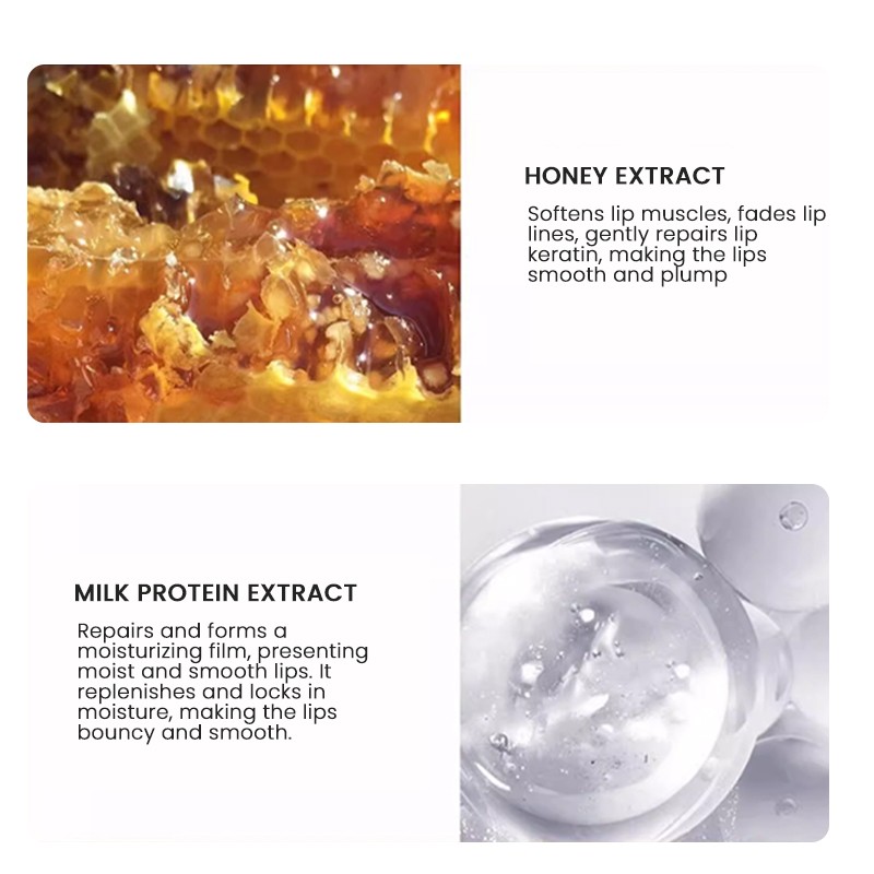 Lip Care Manufacturer - MULAN OEM Private Label Long Lasting Honey