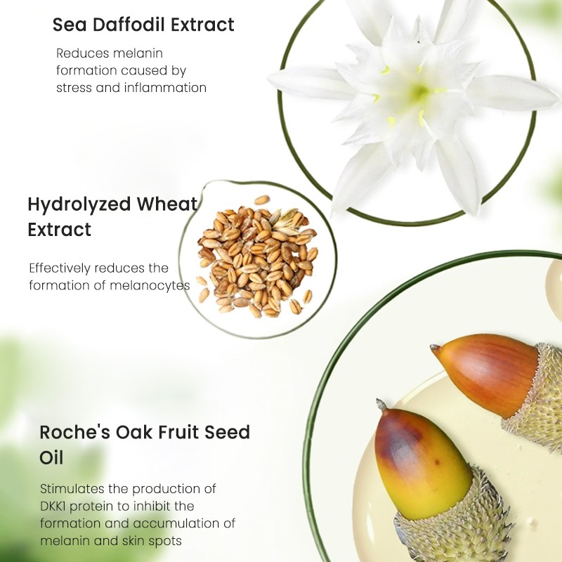 Skin Care Toner Manufacturer - MULAN OEM Private Label Whitening Antioxidant