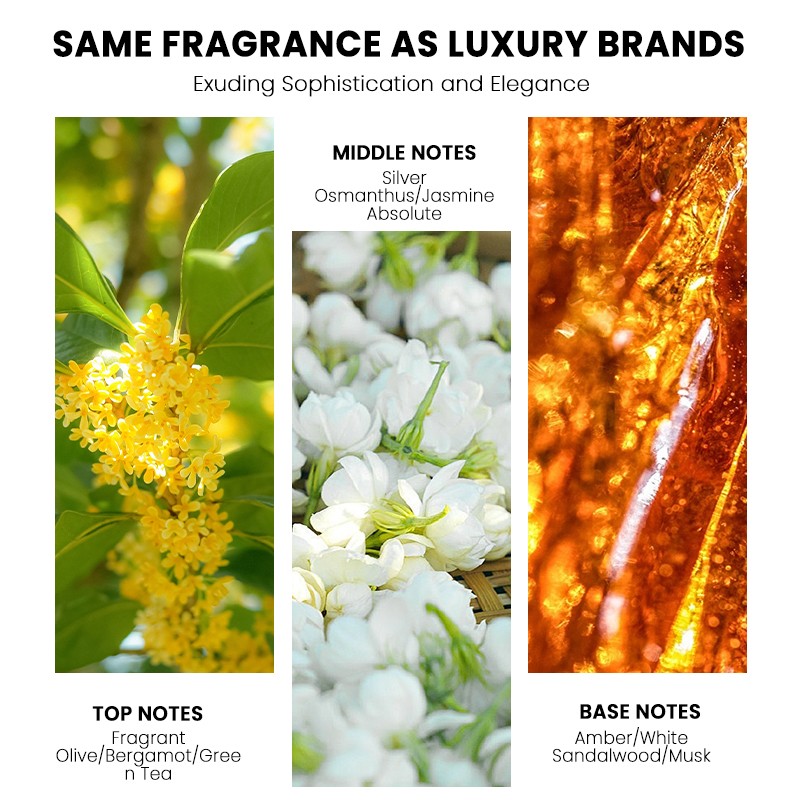 Reed Diffuser Manufacturer - MULAN Home Air Freshener Liquid Pattern