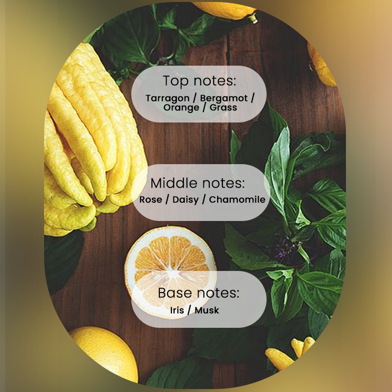 Hair Shampoo Manufacturer - MULAN Men Women Care Growing Fresh