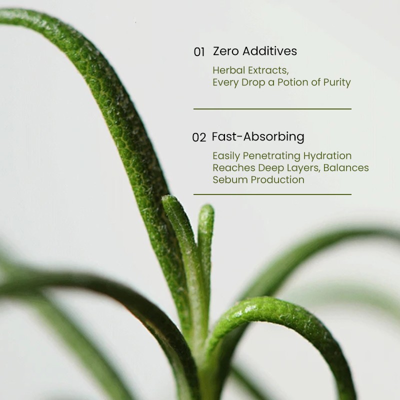 Essential Oil Factory - MULAN Organic Rosemary Natural Moisturizing