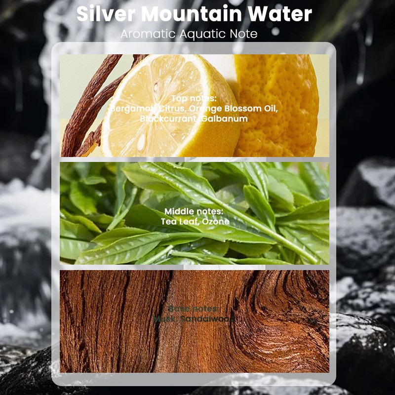 Car Diffuser Factory - MULAN Solid Wood Clip Long Lasting