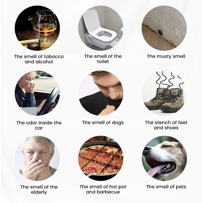 Air Freshener Manufacturer - MULAN Long Lasting Indoor Custom Fragrance