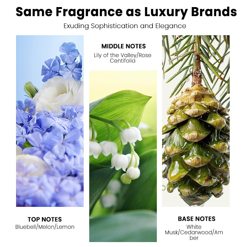 Reed Diffuser Factory - MULAN Custom Private Label Liquid Fragrance