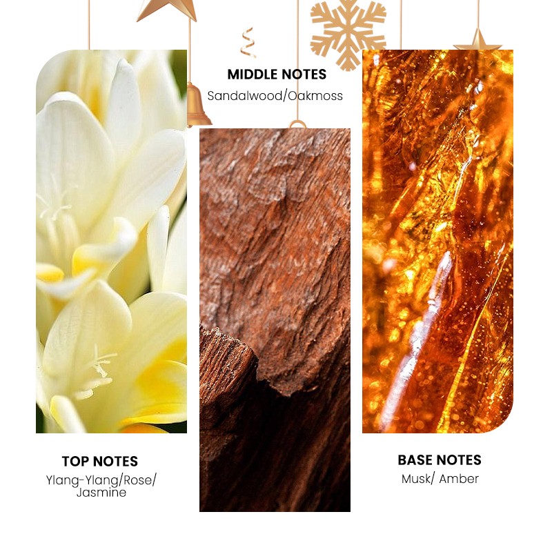 Reed Diffuser Set Factory - MULAN Luxury Christmas Edition Air