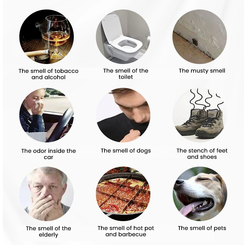 Air Freshener Factory - MULAN Long Lasting Fragrance Bedroom Car