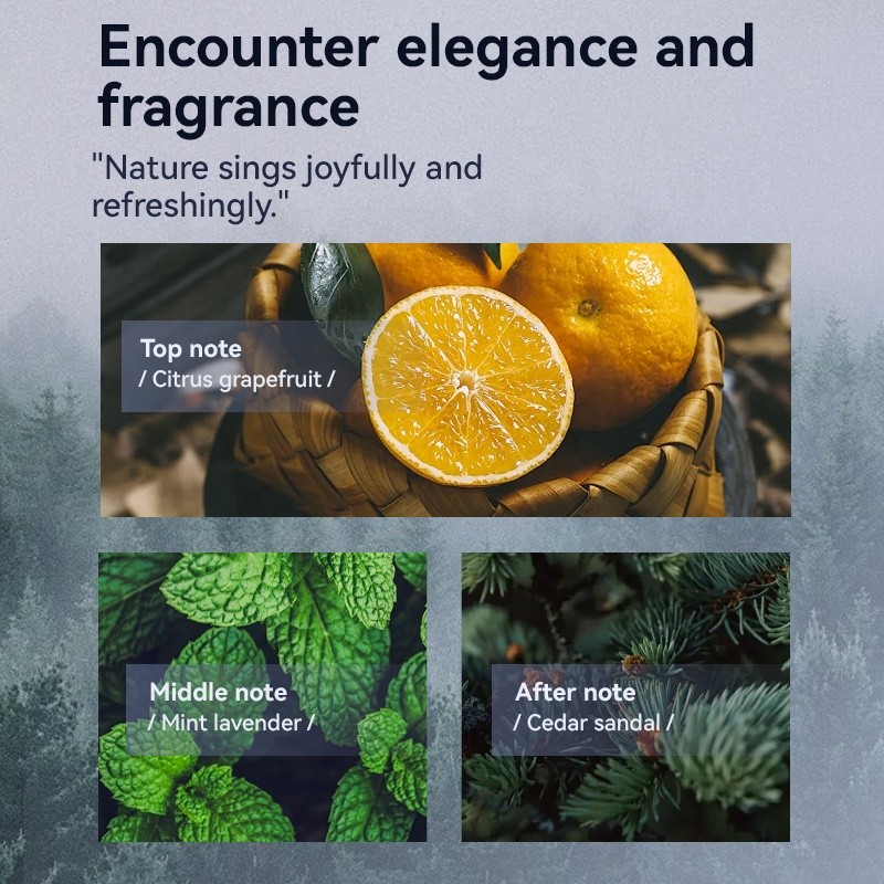 Body Spray Manufacturer - MULAN Fresh Long Lasting Fragrance Deodorant