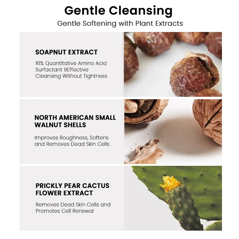 Anti Dandruff Shampoo Factory - MULAN Soapnut Extract Prickly Pear