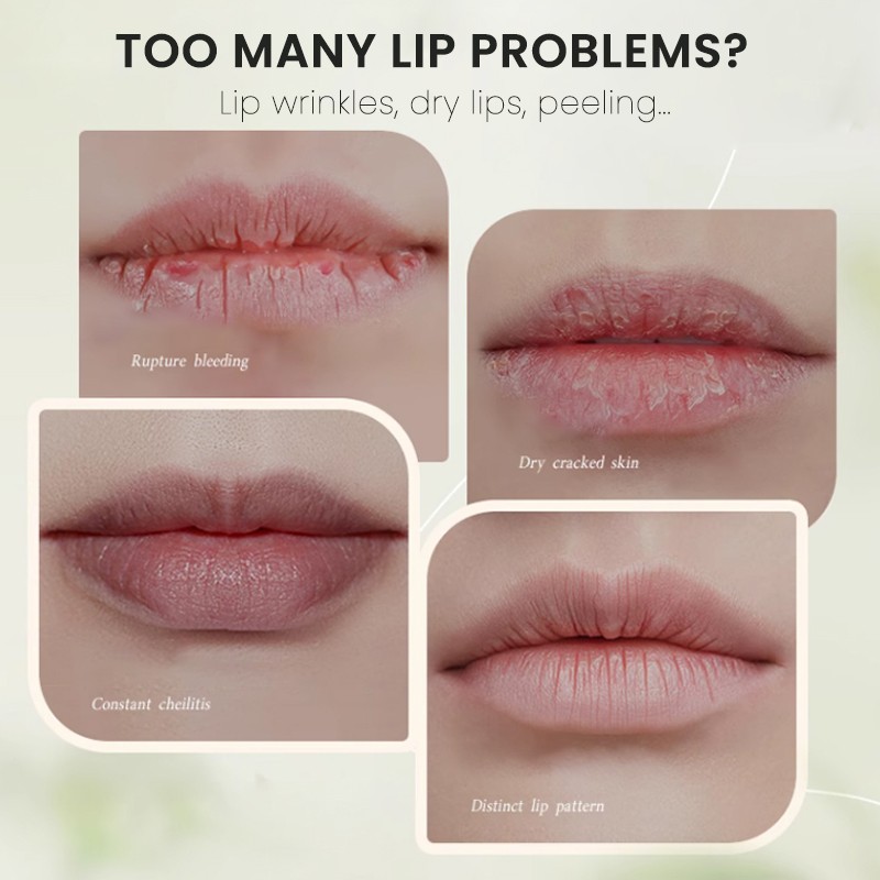 Lip Care Manufacturer - MULAN Lip Balm Long Lasting Coconut Oil