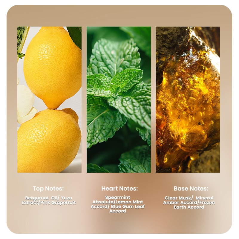 Perfume Sample Factory - MULAN OEM Custom Mini 5ml Mint Lemon