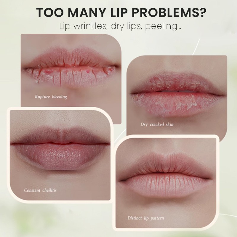 Lip Balm Factory - MULAN Custom Logo Adult SPF50 Sun Protection