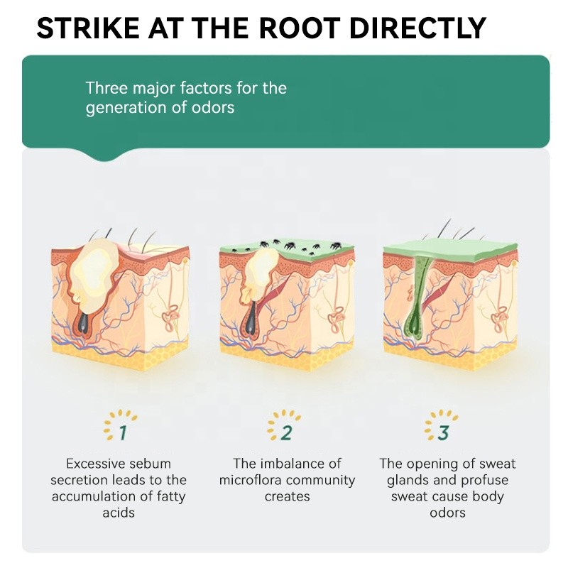 Bodymist Fragrance Manufacturer - MULAN OEM Antiperspirant Purifying