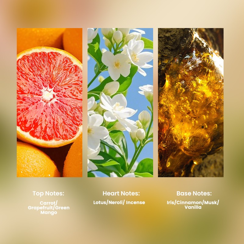 Travel Perfume Manufacturer - MULAN Mini Glass Bottle Citrus Fruits