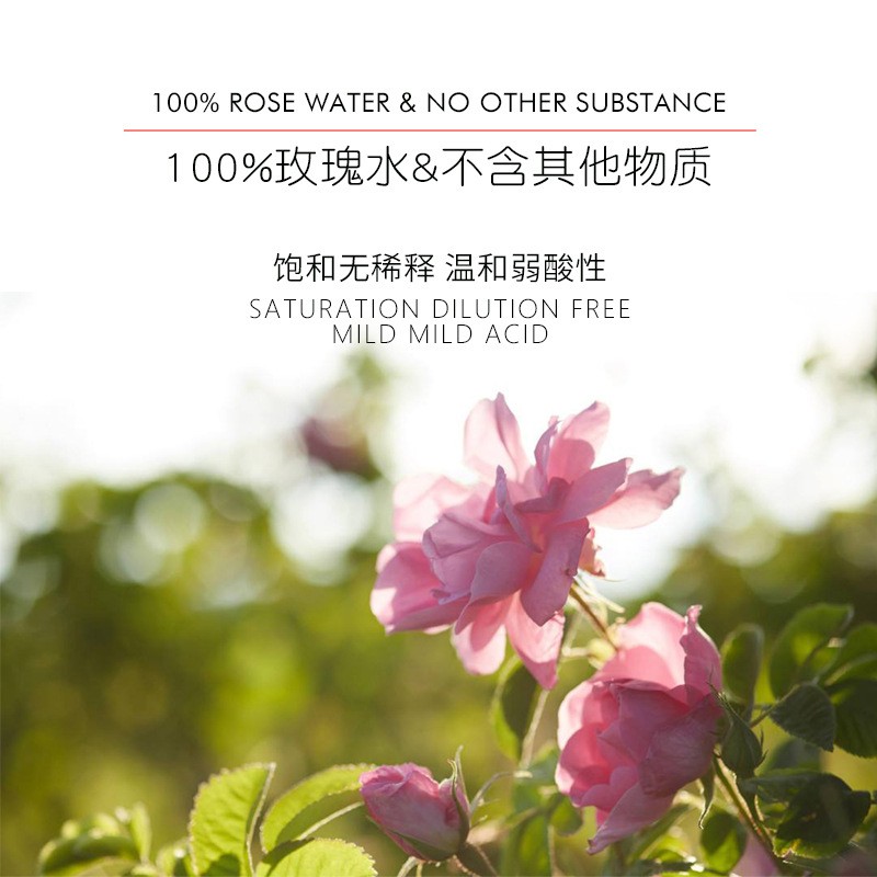 Rose Hydrosol Factory - OEM Organic Brightening Toner