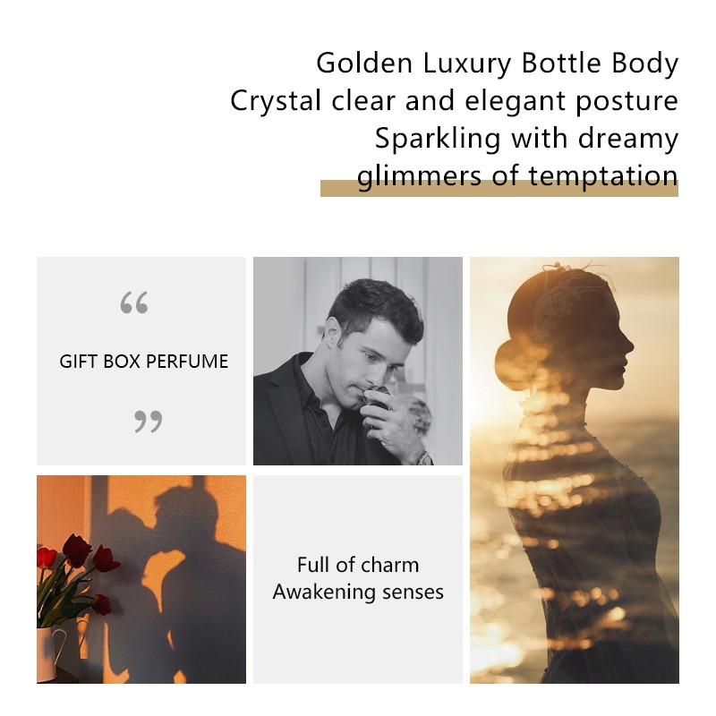 Cologne Supplier - Bulk 50ML Long-lasting Fragrance