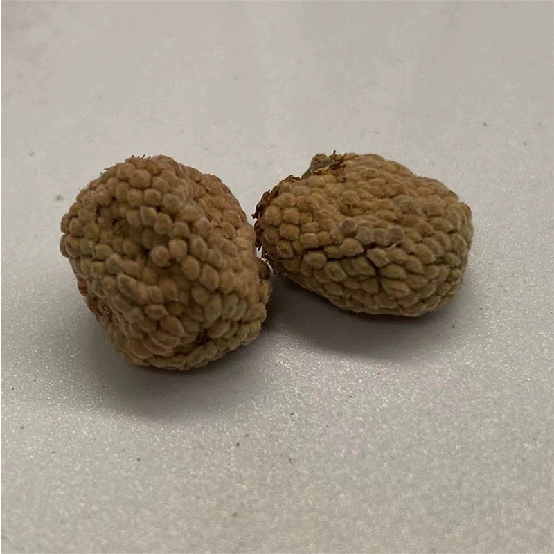 Herbal Powder Manufacturer - Wholesale Dried Raspberry Single Herb