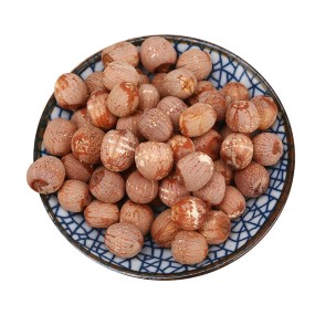 Lotus Seeds Manufacturer - Hunan Glutinous Red Skin Dried with Cores