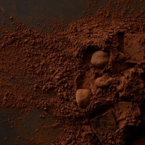 Cocoa Powder Manufacturer - Direct Factory Unalkalized Raw Beverage