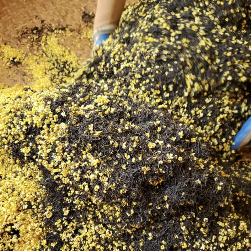 Premium Tea Manufacturer - Customized Print Osmanthus Green Black