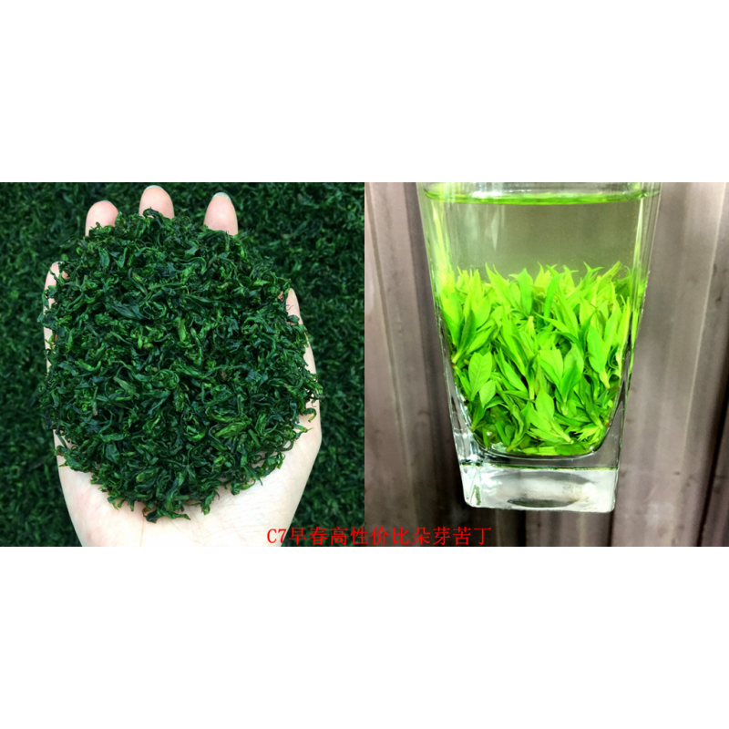 Raw Tea Factory - 2025 New Bulk Kuding Tea Sichuan Qingshan