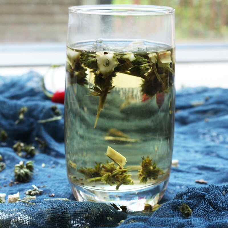 Organic Herbs Manufacturer - Pure Motherwort Female Fertility Estrogen