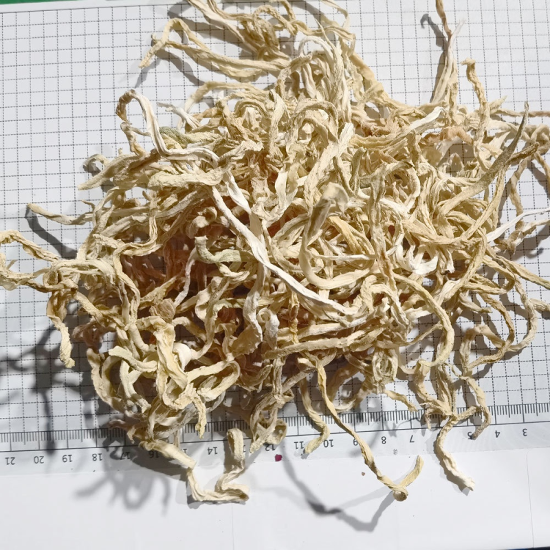 Dried Papaya Manufacturer - Guangxi 500g Sweet Salty Green Ingredients