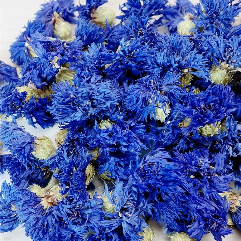 Dried Flowers Manufacturer - High Quality Natural Cornflower Bulk