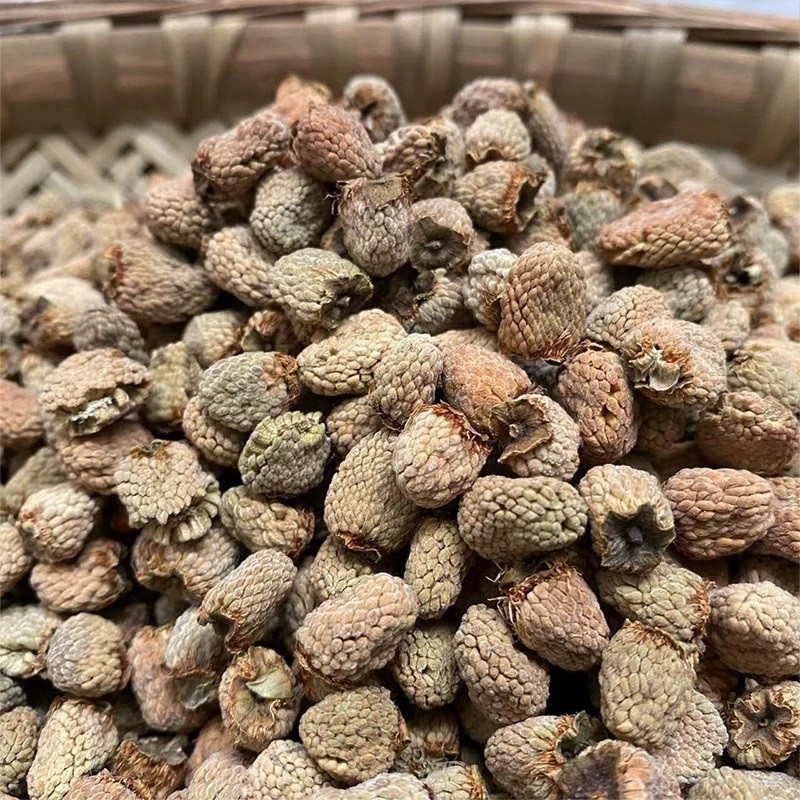 Herbal Powder Manufacturer - Wholesale Dried Raspberry Single Herb