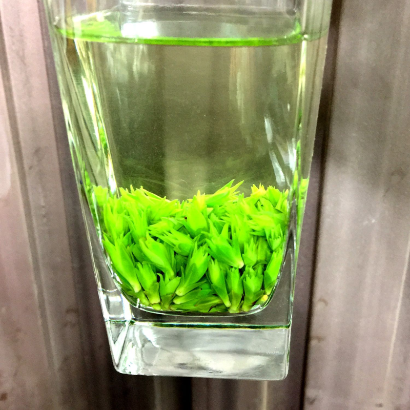 Raw Tea Factory - 2025 New Bulk Kuding Tea Sichuan Qingshan