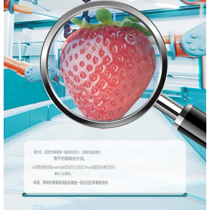 Freeze Dried Fruit Factory - Wholesale Strawberry Slices Sour Tea