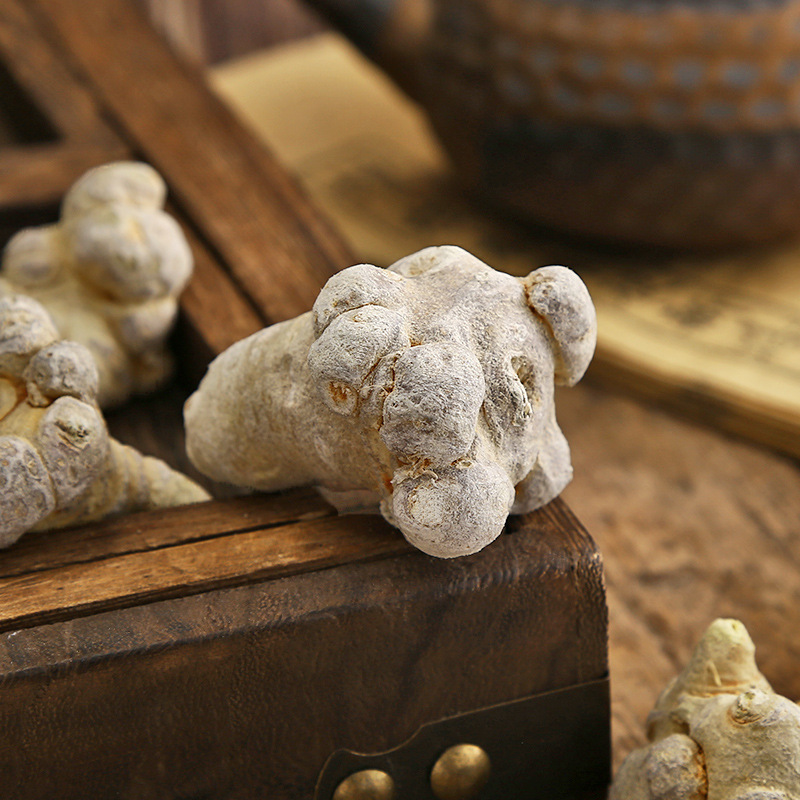 Notoginseng Roots Manufacturer - Direct Wholesale Freeze Dried Yunnan