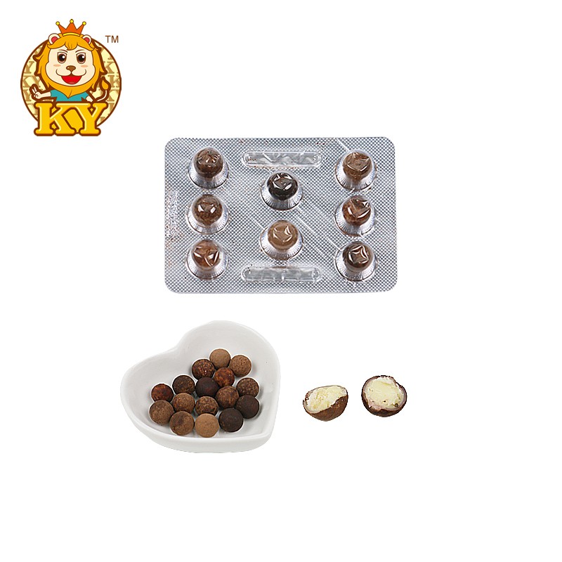 Chewy Chocolate Beans Manufacturer - Wholesale Solid Form with Jam Filling