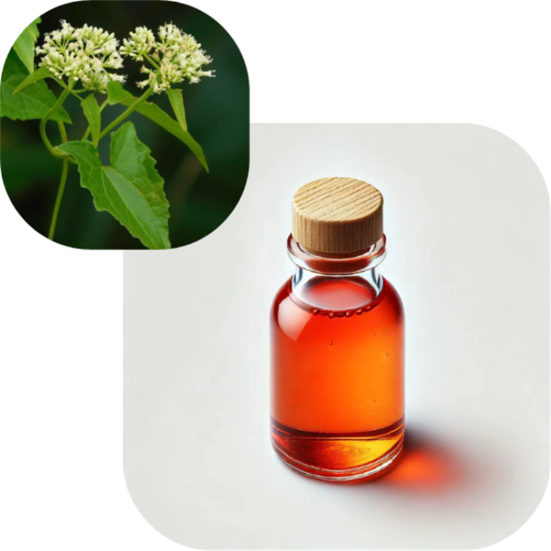 Customised Cell Activation Luxury Face Serum Mikania Micrantha Botanical Extract Enhancing Skin Cell Daily Chemicals