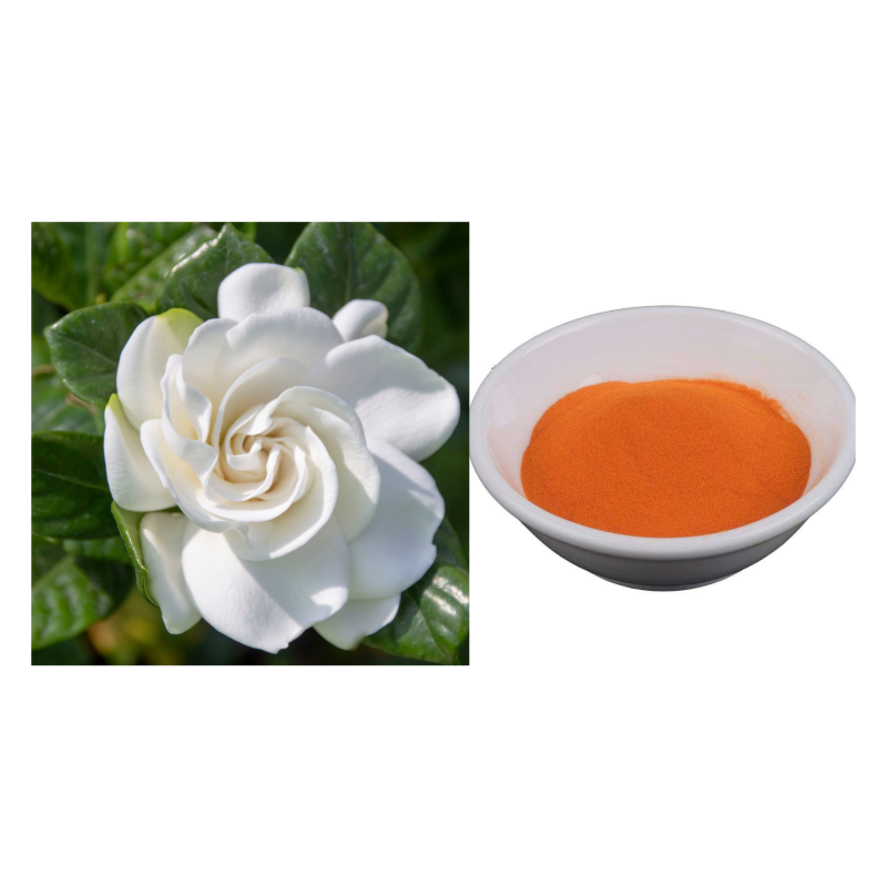 Gardenia Paradis High Quality Custom Gp-Yellow Pigment Gardenia Florida Extract Whiten the Skin Dyes Pigments Whitening Material