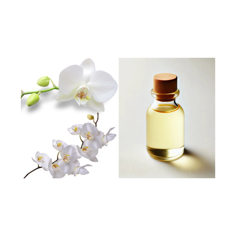 Gloryage Imdermalab Crystorchid High Quality Taiwan Skin Care Tyrosinase Inhibition Antioxidant Cosmetic Products Antioxidant