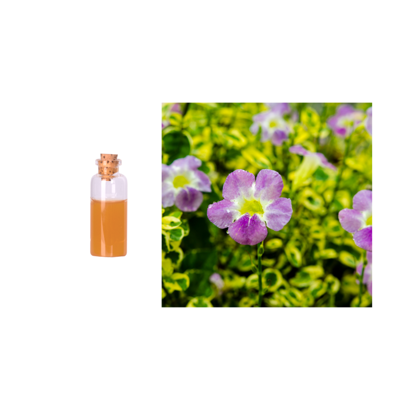 Gloryage Violetex Best Anti Age Face Serum Cell Activation Facial Moisturizing Lotion Patents Wound Healing, Energize Cells