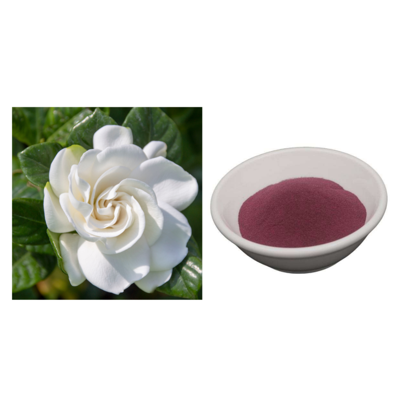 Gloryage Gardenia Paradis Cosmetic Grade Semi-Permanent Lip Pigments GP-Red+ Pink Color Dye for Emulsion and Lotion