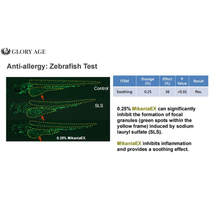 Customised Cell Activation Luxury Face Serum Mikania Micrantha Botanical Extract Enhancing Skin Cell Daily Chemicals