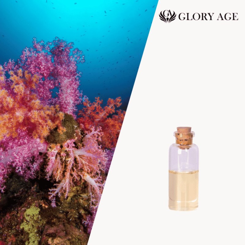 Instant Lifting Skin Reborn Instant Lifting Anti-Aging Firming Cosmetics Face Lift Collagen Anti-Wrinkle Product Daily Chemicals Raw Materials Chemical Raw Materials